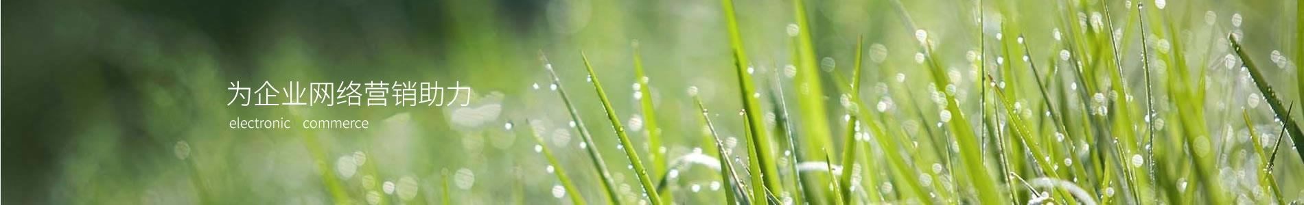 ݹ껷Ƽ޹˾